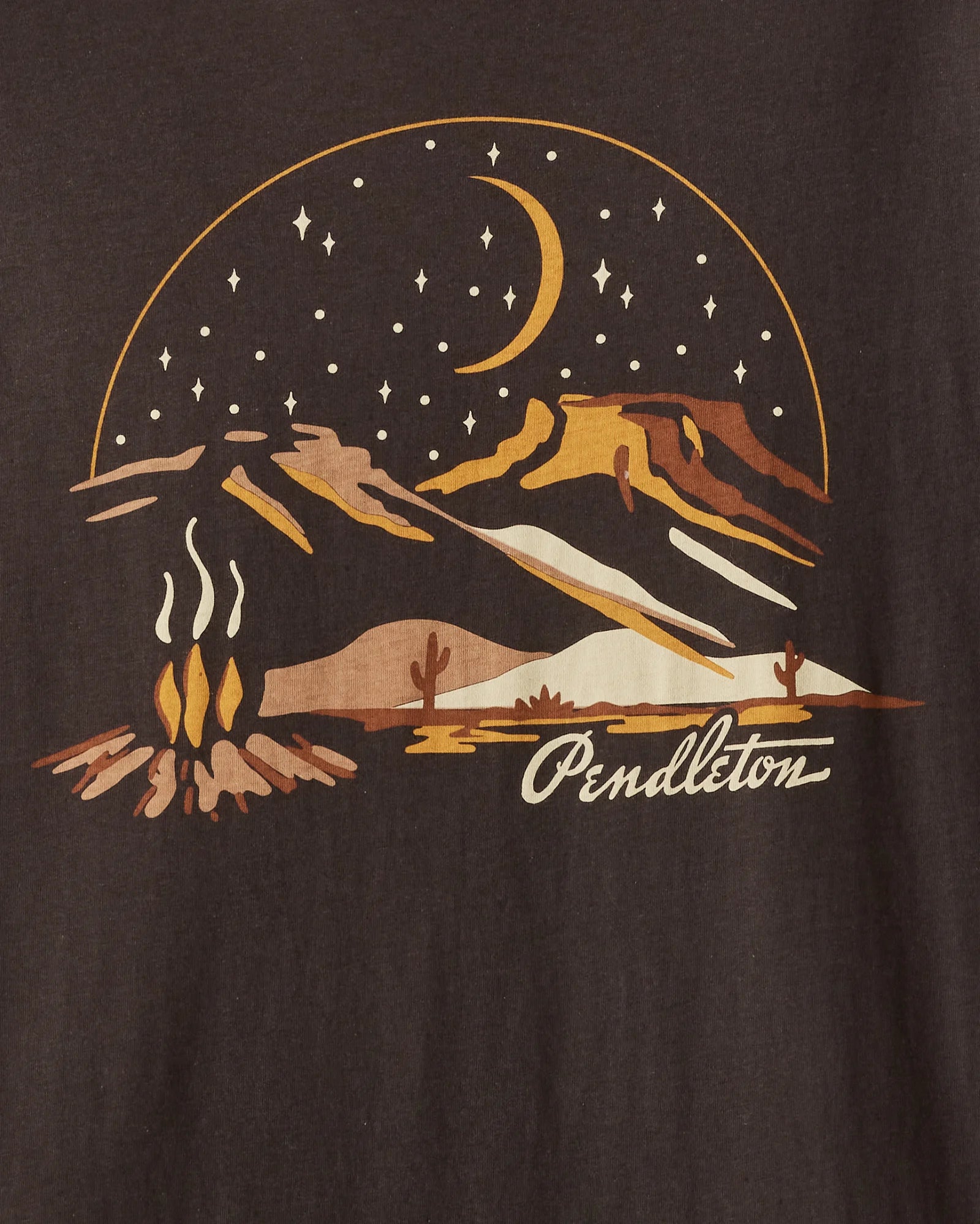 Pendleton Campfire Graphic Tee Fashionable Trendy Casual